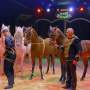 Programm 2024/2025 – Aufnahme aus der Circus-Fotogalerie