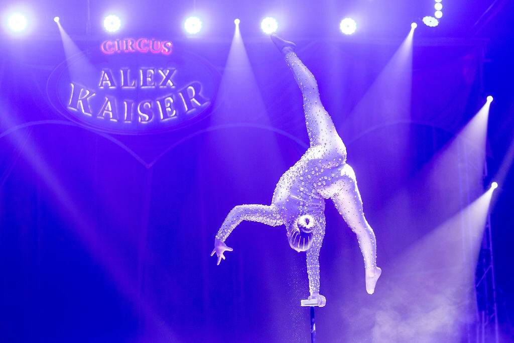 Fotos – Aufnahme aus der Circus-Fotogalerie