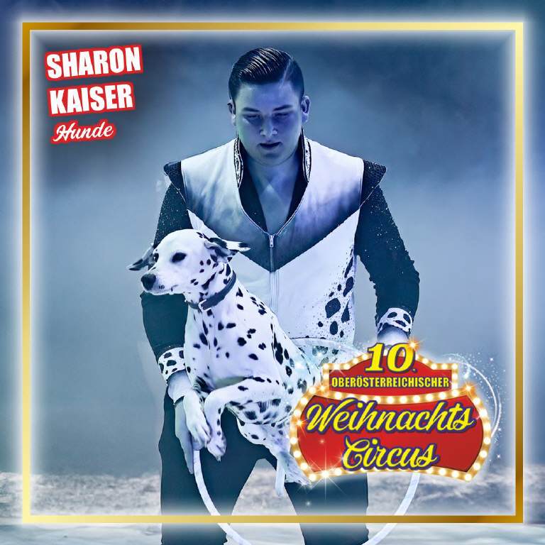 Programm 2025 Mauthausen – Aufnahme aus der Circus-Fotogalerie