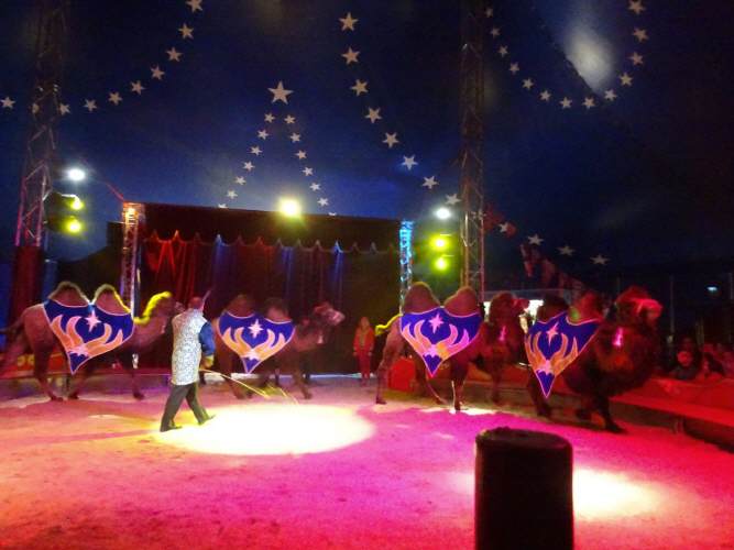 Archiv – Aufnahme aus der Circus-Fotogalerie