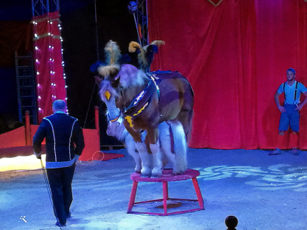 Fotos zum herunterladen – Aufnahme aus der Circus-Fotogalerie