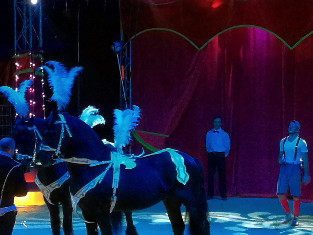 Fotos zum herunterladen – Aufnahme aus der Circus-Fotogalerie