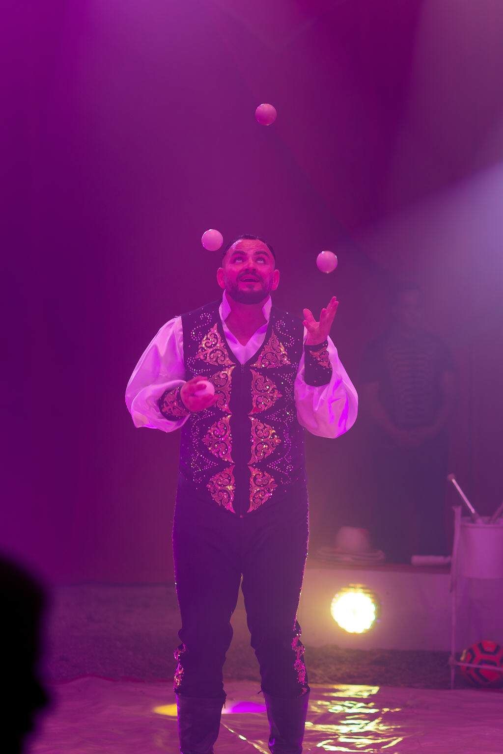 Fotos – Aufnahme aus der Circus-Fotogalerie