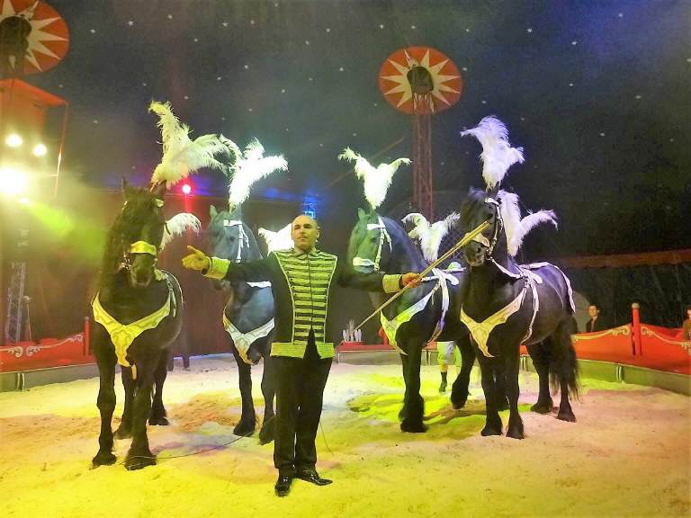 Programm 2021 Mauthausen – Aufnahme aus der Circus-Fotogalerie
