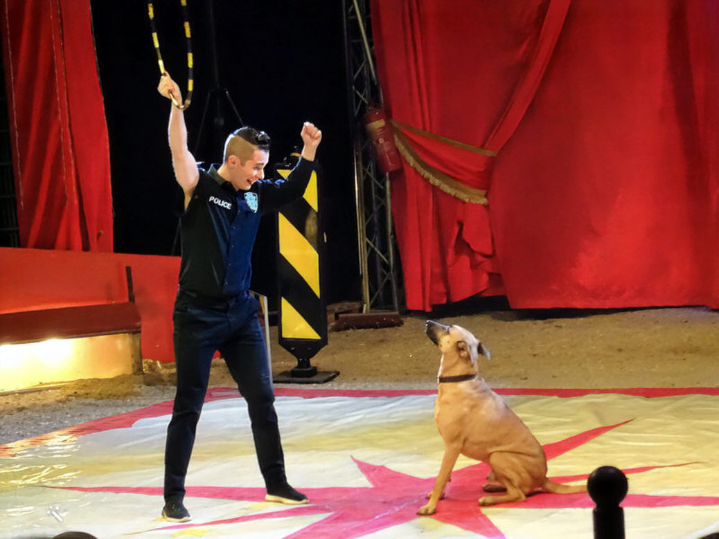Fotos zum herunterladen – Aufnahme aus der Circus-Fotogalerie