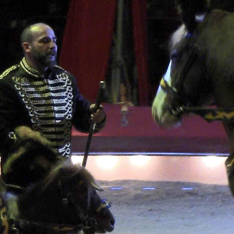 Tiere – Aufnahme aus der Circus-Fotogalerie