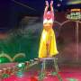 Programm 2024 Mauthausen – Aufnahme aus der Circus-Fotogalerie