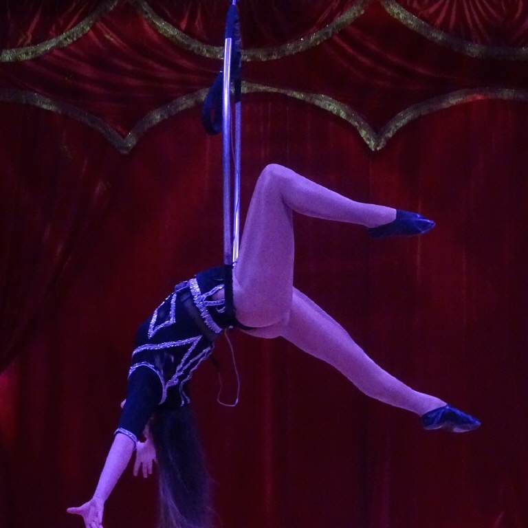 Artisten – Aufnahme aus der Circus-Fotogalerie